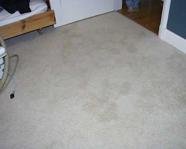 carpet, cleaning, steam, stain, removal, crime, scene, soda, stain removal, clean, tile, grout, restoration, water, fire