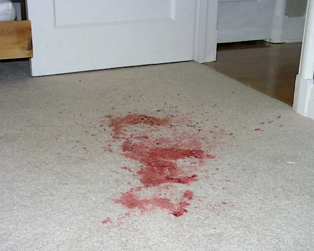 carpet, cleaning, steam, stain, removal, crime, scene, soda, stain removal, clean, tile, grout, restoration, water, fire